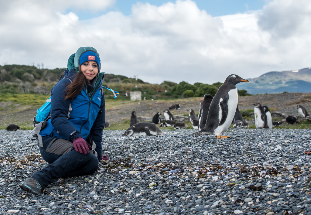 wyprawa na pingwinu Ushuaia